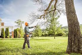Best Lawn Pest Prevention  in Black Point Green Point, CA