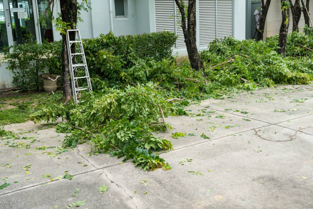 Best Lawn Watering Services  in Black Point Green Point, CA